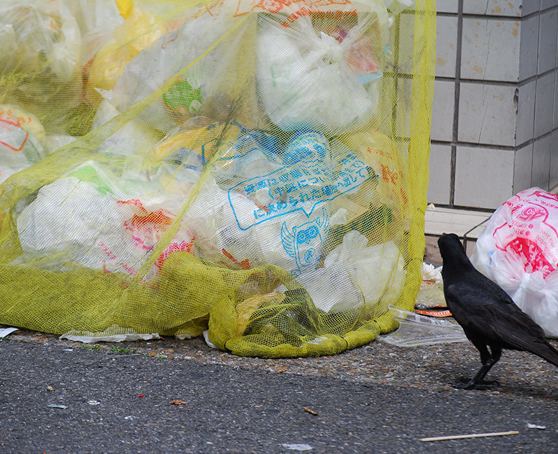 「粗大ゴミの不法投棄」テナントビルのトラブル